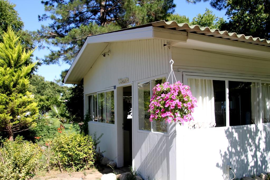 Defne Pension Çıralı Exteriér fotografie